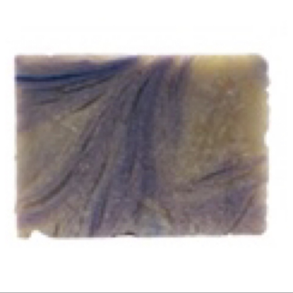 Colorado Columbine vegan soap - Picture 2 of 7